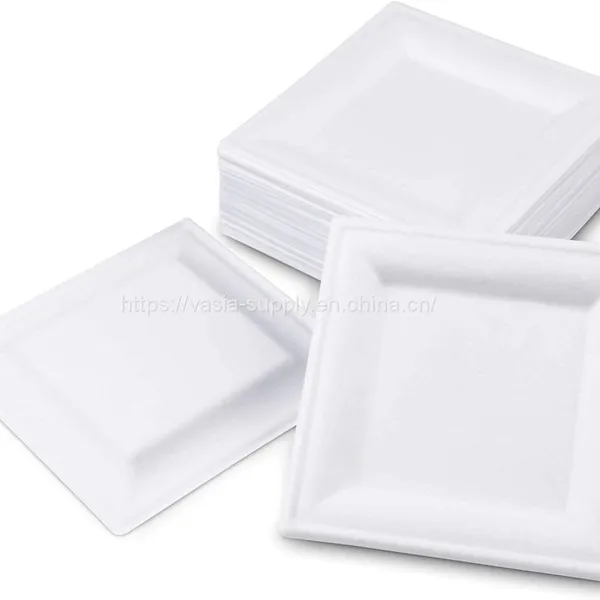 Compostable Biodegradable Sugarcane Recycled Bagasse 20*20cm Square Plates for a Garden Party Stable and do Not Sag photo-2