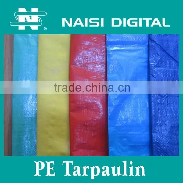100mic China PE Tarpaulin Roll Factory photo-4