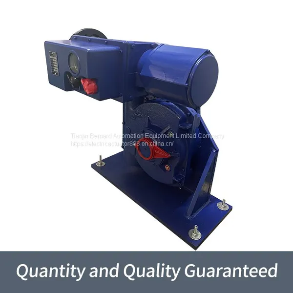 Bernard Angle Stroke B+RS250/K40H Integrated Fine Small Electric Actuator photo-1