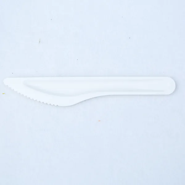 100% Bagasse Dinner Knife Sugarcane Biodegradable Tableware Disposable Bagasse Knife Serving Knife photo-2