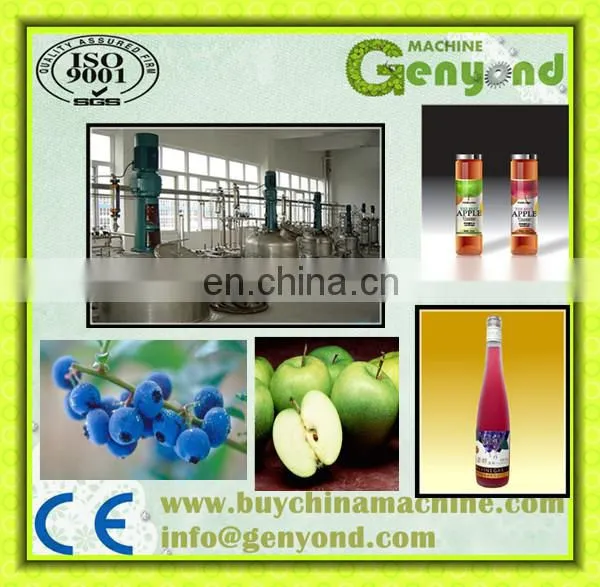 Factory Shanghai Genyond Fruit Wine Fermentation Equipment Making Machine Fruit Vinegar Production Plant Process Line photo-3