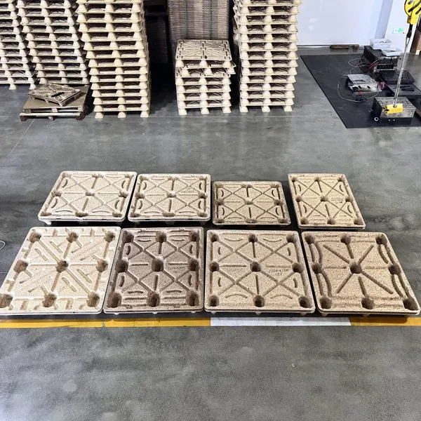 Dedicated for Export Trade | Direct Supply From Source Manufacturer | No Fumigation Required for Direct Export Clearance