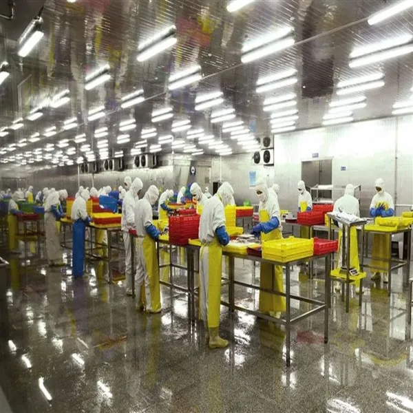 Commercial Canned Sardine in Tomato Sauce Processing Line photo-4