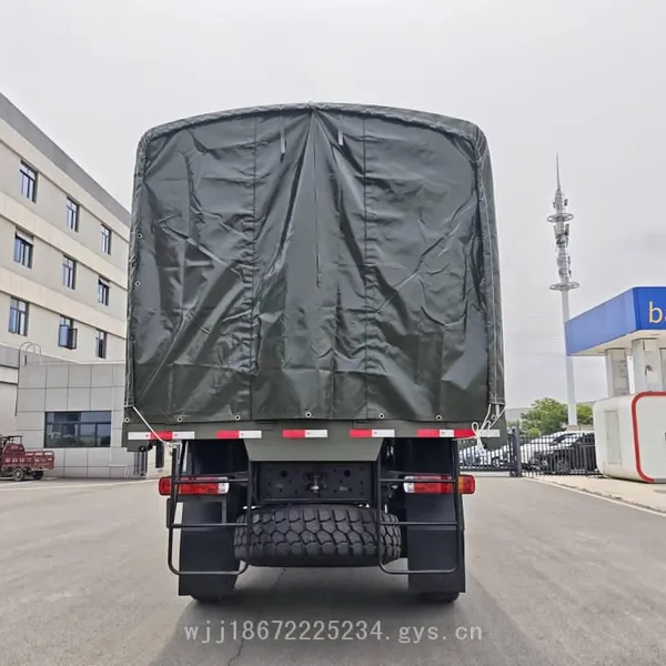 Sinotruk 4x4 Four-wheel Drive Heavy-duty Export-type Troop Carrier With Strong Off-road Performance for Personnel Delivery photo-4