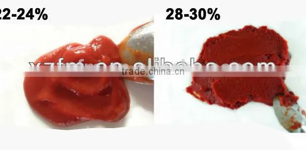 Hot Sale Canned Tomato Paste Brix 28-30 photo-3