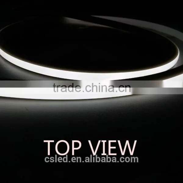 Top/Side View DC12V/24V Smd 3014 Various Colors for Outside Decoration Project Led Strip