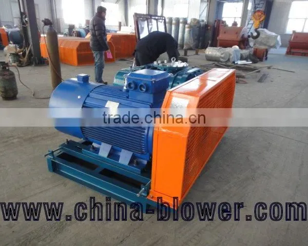 Roots Vacuum Pump Gas photo-2