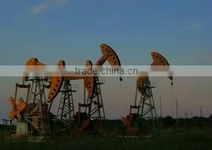 Double Horsehead Oil Pumping Unit Pump Jack photo-6