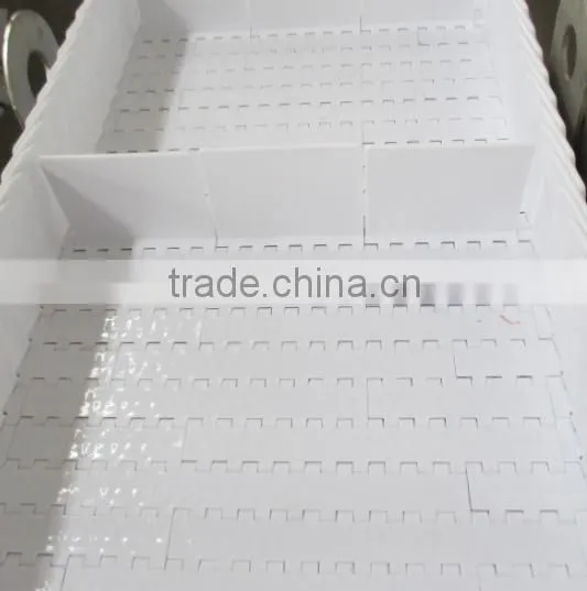Modular Conveyor for Potato Chips photo-5
