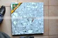 EH609 Polished Porcelain Tile