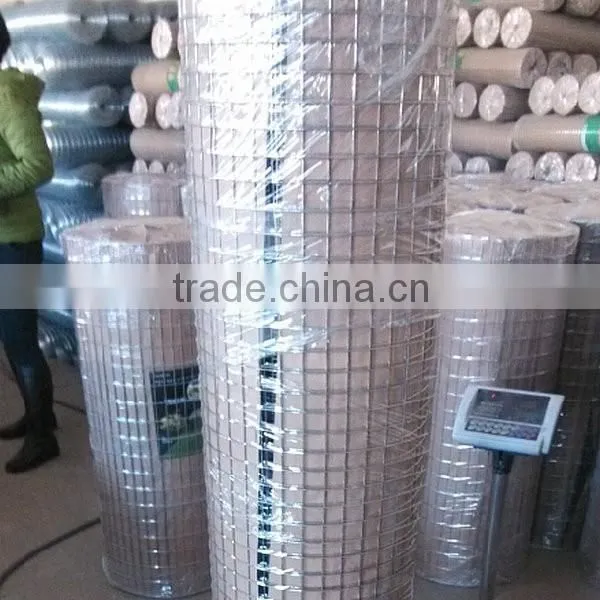 Bird Cage Wire Mesh Welded Wire Mesh