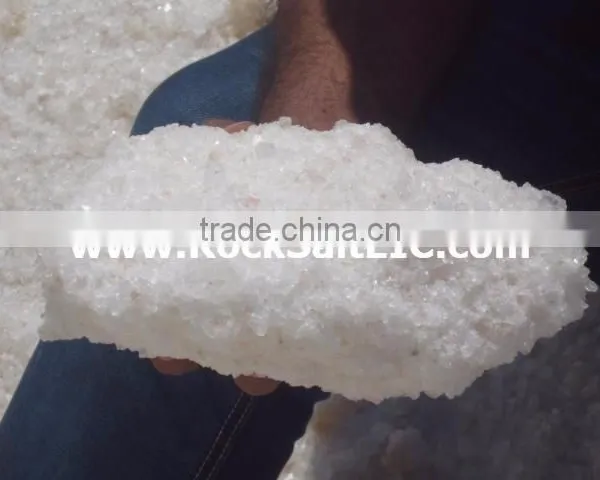 Sodium Chloride 98-99% NACL Inspected by (sgs) in Bulk Shipments