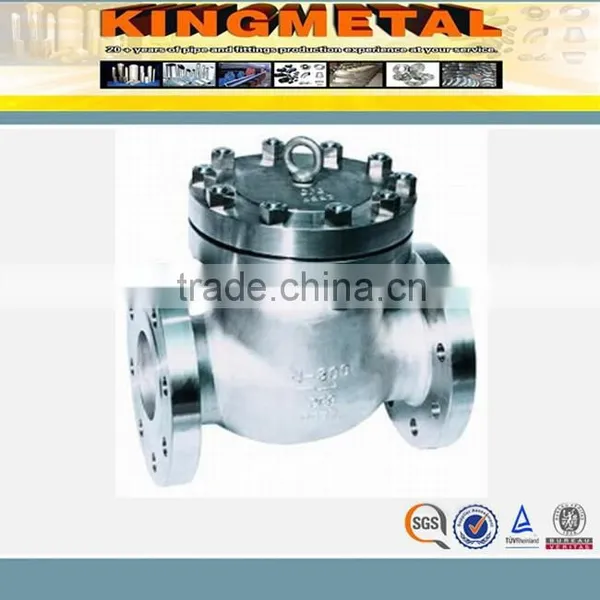 Stainless Steel Swing Check Valve for Industry photo-5