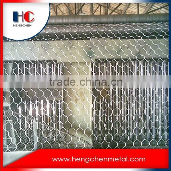 Electro Galvanized Hexagonal Wire Mesh photo-6