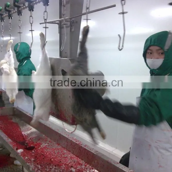 Rabbit Processing Slaughterhouse photo-2