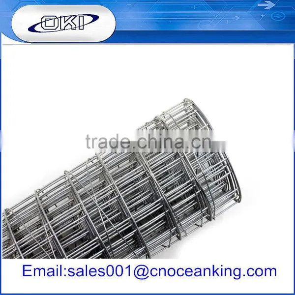 High Quality Welded Wire Mesh With ISO 9001 From Top Factory photo-3
