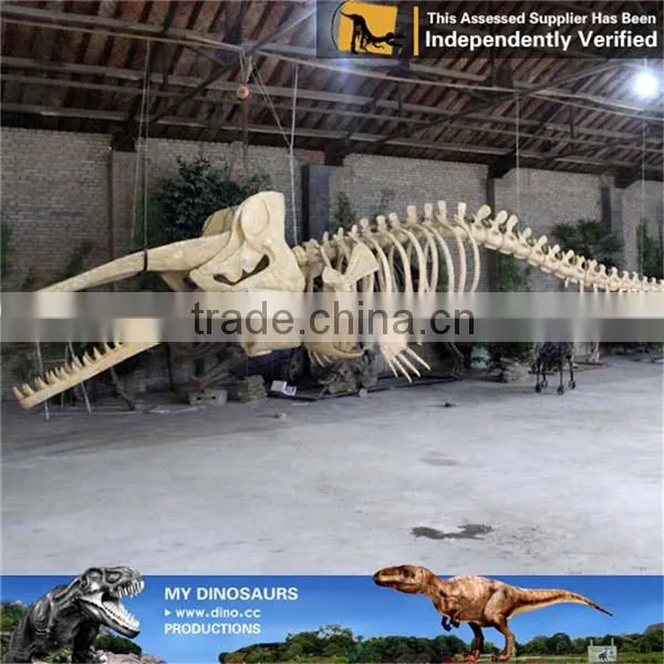 MY Dino-C078 Aquarium Life Size Fish Skeleton photo-4