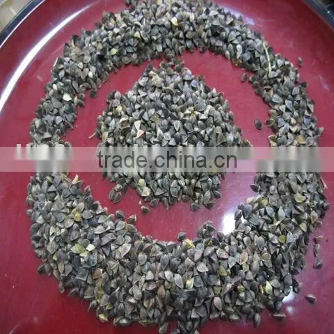 Roasted Buckwheat Kernel, Roasted Buckwheat Hull
