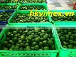 Product Quality of Hkvimex Viet Nam Lemon photo-3