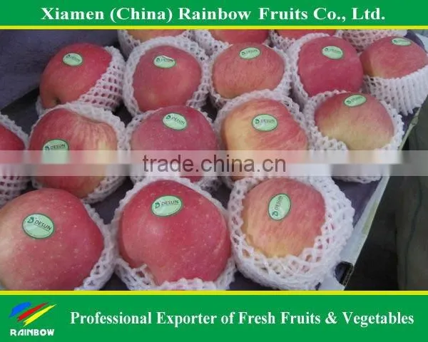 Chinese Red Fuji Apple