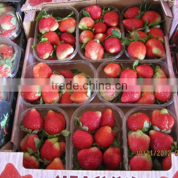 FRESH STREWBERRY photo-6