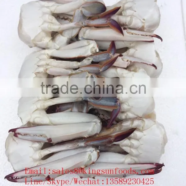 Frozen Blue Swimming Crab for Hot Sale photo-2