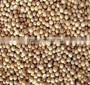 VIETNAM WHITE PEPPER 550 G/ l, 600 G/L, 630 G/L BEST QUALITY photo-2