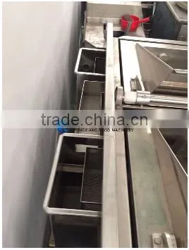 Low Cost Double Trough Vegetable and Fruit Washing Machine photo-3