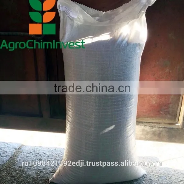 Russian Coriander photo-4