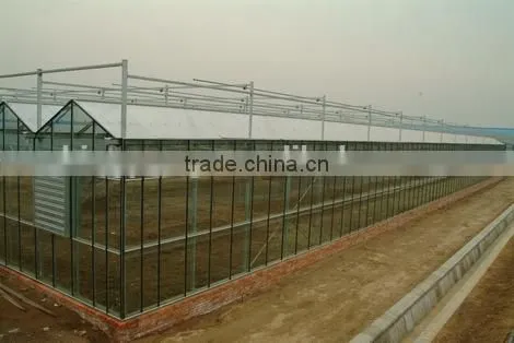 Saled Agricultural Greenhouse for Sale photo-3