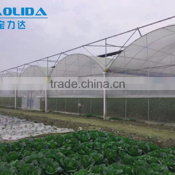 Cheap Easily Inatalled Plastic Film Vegetable Greenhouse photo-6