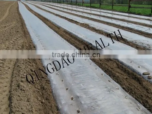 Agriculture Mulch Films ,perforated Clear Mulch Film (with 2 or 4 Holes) photo-6