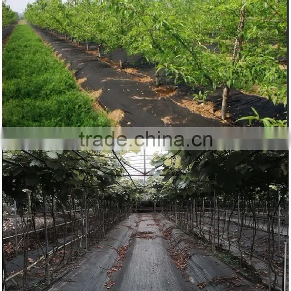 Tree Weed Control Mat photo-2