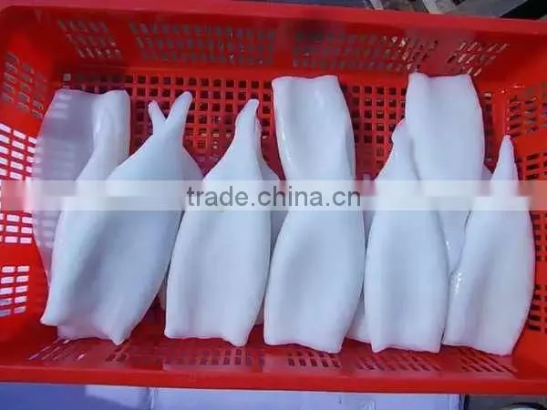 2016 Best Quality New Arrival Squid Tubes for Sale photo-4