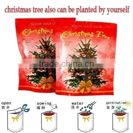 mini christmas tree,mini plant tree