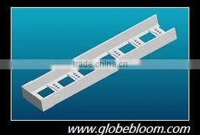 Customer Reached Also Pre Galvanized Ladder Size Cable Trunking photo-3
