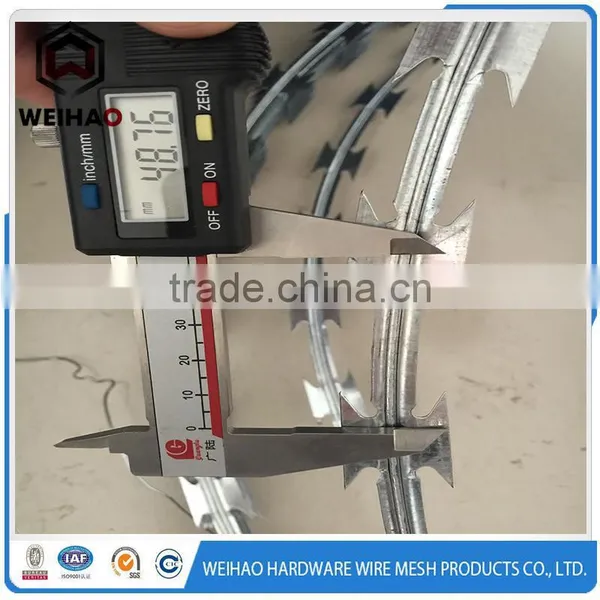 Galvanized Concertina Stainless Steel Razor Barbed Wire Blade Wire Fence photo-5
