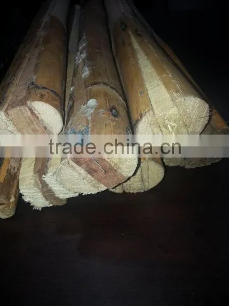 Cricket Bat Full Cane Handle, Singapore Cane Handle, Cane Handle, Handle, Manau Cane, Singapore Cane, Cricket Handle, Rattan photo-3