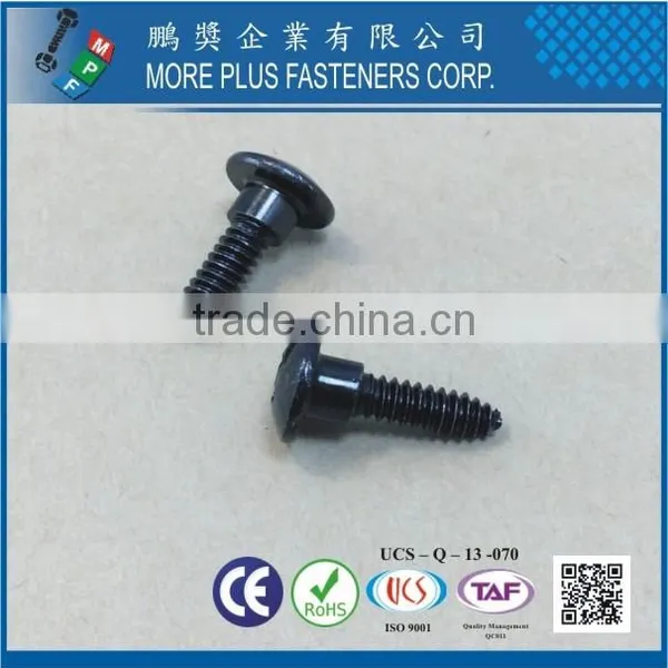 Made in Taiwan Zinc Black CR6+ Trilobuar Thread Without Bumper Square Phil Combo Carbon Steel C1022 Screws photo-4