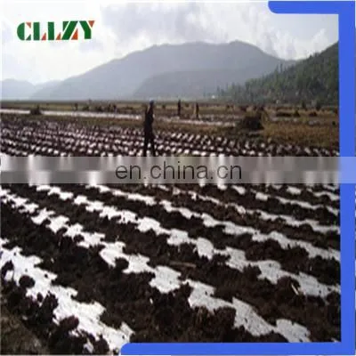 Hot Sale Pla Biodegradable Material in China photo-6