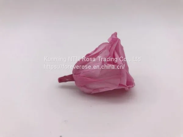 Wholesale3-4cm Elegant Real Touch Preserved Rose Flower photo-5
