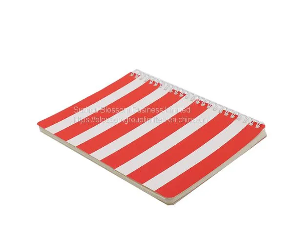 Wholesale Cheap Spiral School Notebook photo-2
