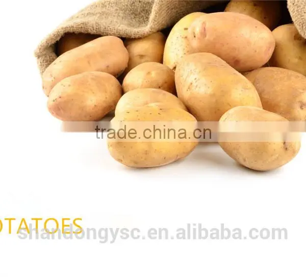Sweet Fresh Potato photo-3
