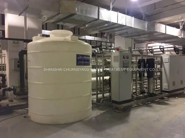 Purified Water Distribution Loop System for Pharma Company photo-3