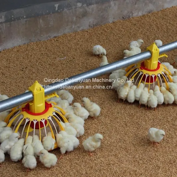 Automatic Poultry Feeder Chicken Animal Feeders System for Poultry Farm Equipment photo-5