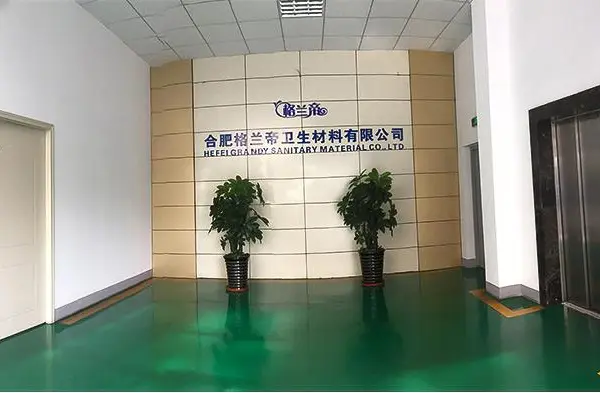 Hefei Gelandi WeiShengCaiLiaoYouXianGongSi company overview - view 2