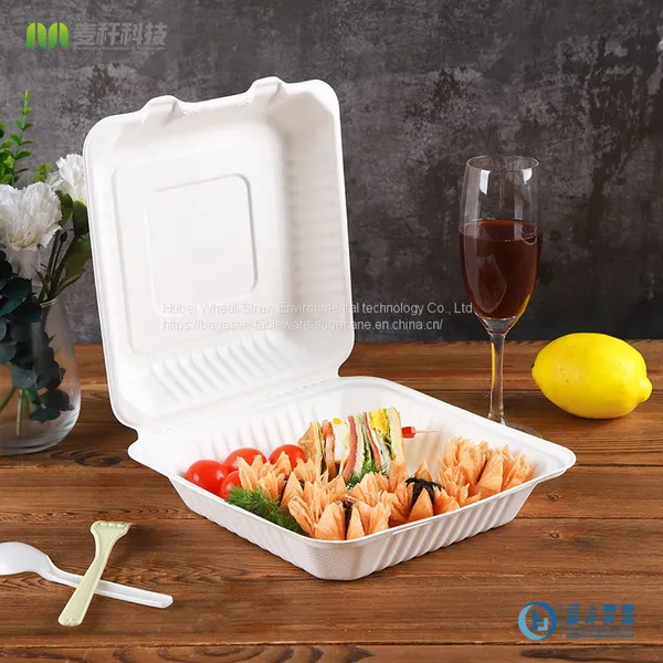 PFAS FREE Disposable Biodegradable 9*9 Take Away Sugarcane Bagasse Clamshell Container photo-4