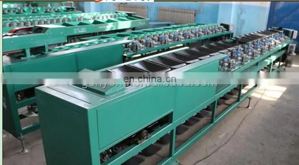 Large Capacity Onion Garlic Grading Machine Processing Line photo-3