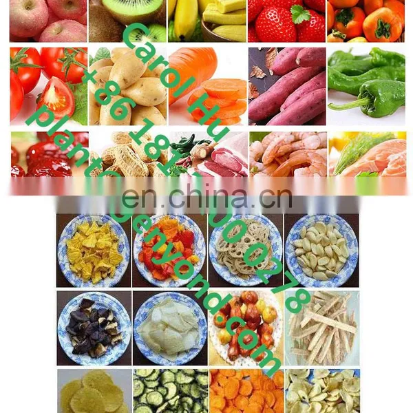 Small Vacuum Deep Fryer for Fruit and Vegetables photo-3