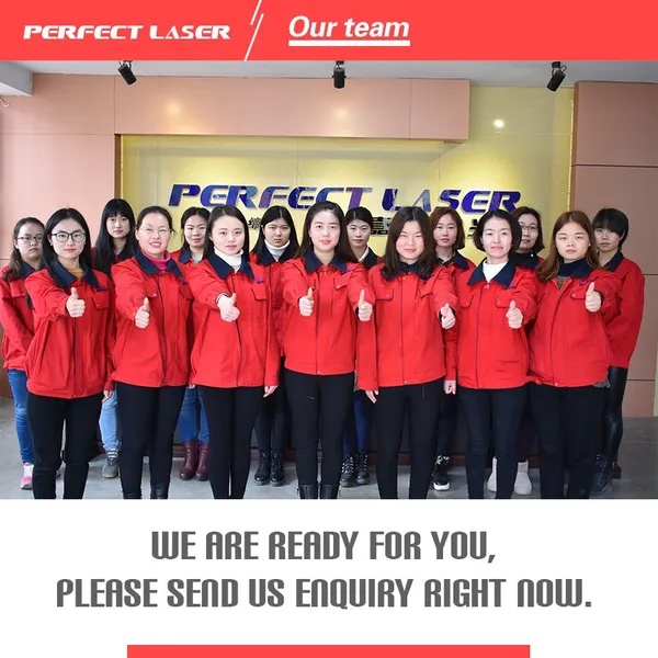 Perfect Laser Factory Price Hand Stamping Date Metal Letter Machine photo-5
